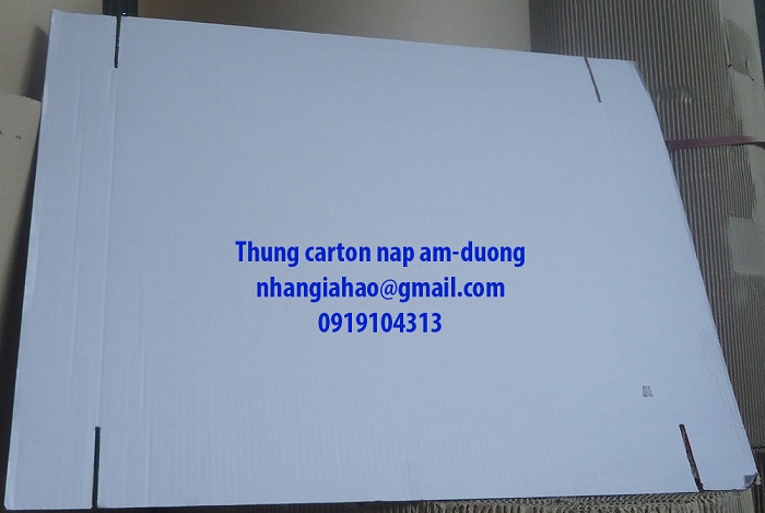 Carton box