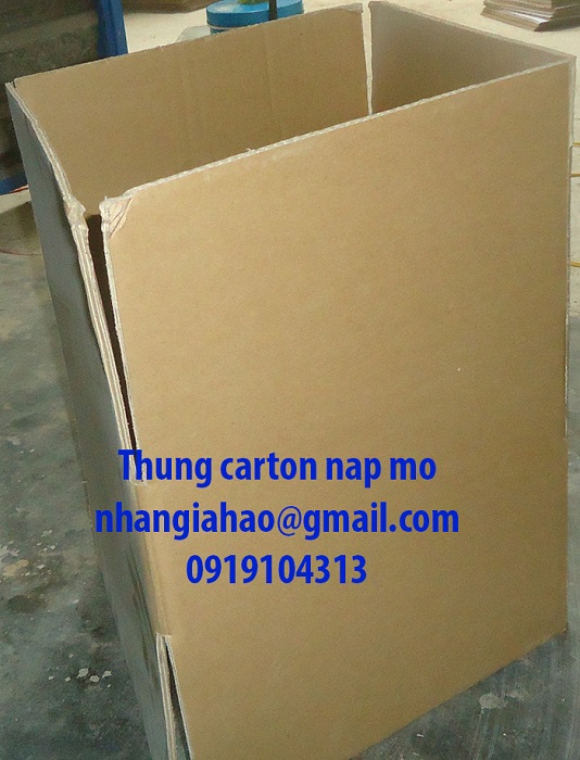 Carton box