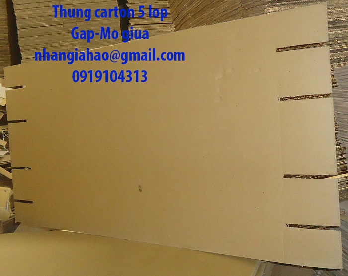 Carton box