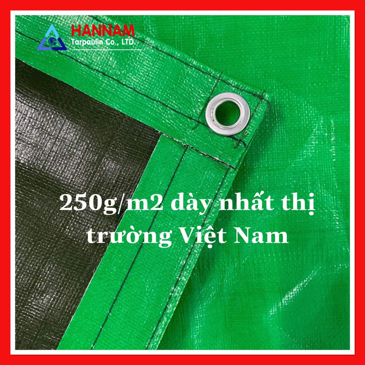 PE & PVC tarpaulin