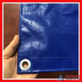 Rain protecting tarpaulin