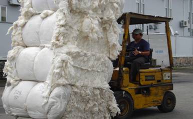 Fiber scraps