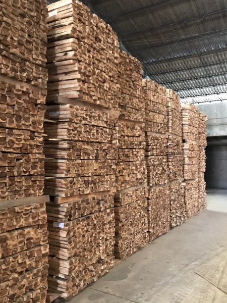 Sawn and dried eucalyptus wood
