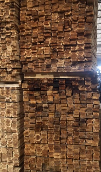 Sawn and dried eucalyptus wood