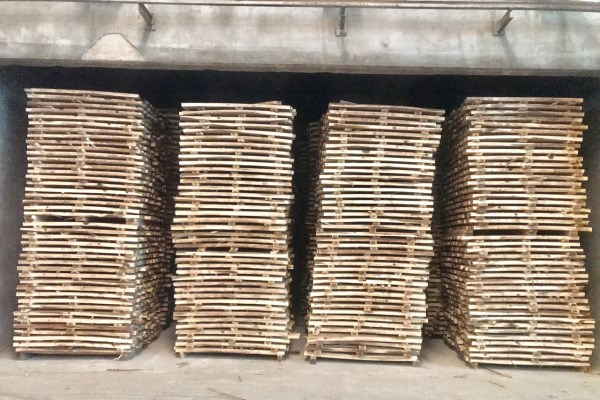 Sawn and dried eucalyptus wood