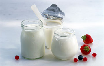 Yogurt flavor