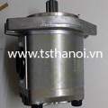 Hydraulic pump
