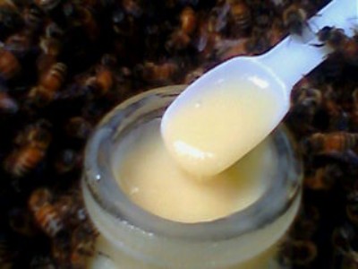 Royal jelly