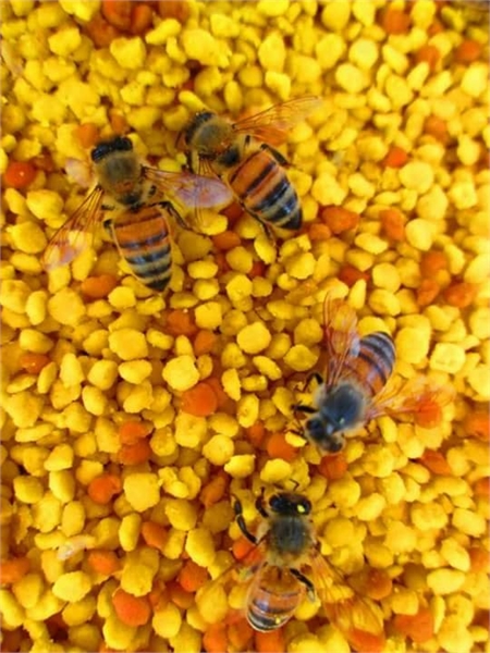 Pollen