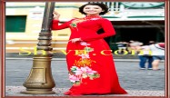 Hand Embroidered Ao Dai