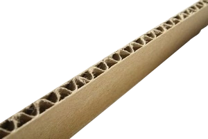 Carton sheet