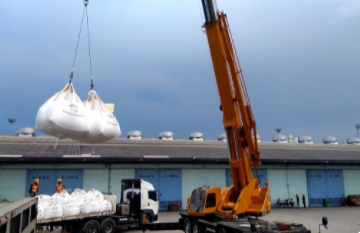 Cargo Tally Services