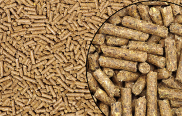 Inspection Of Animal Feed Material