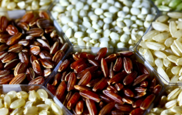 Inspection of agri-products