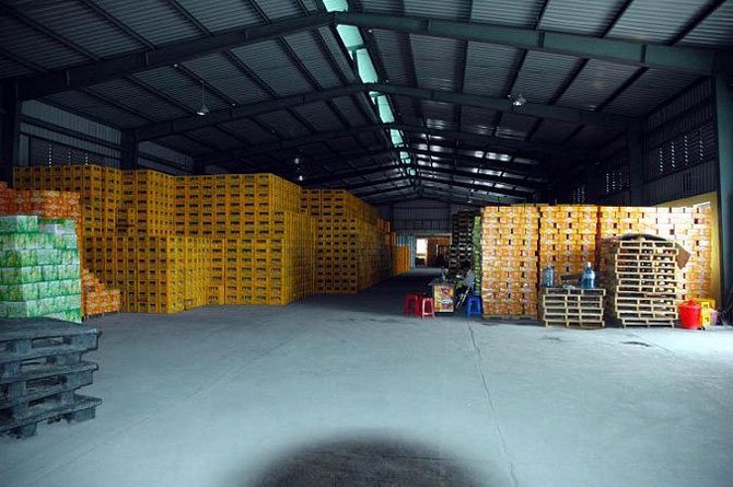 Warehousing services
