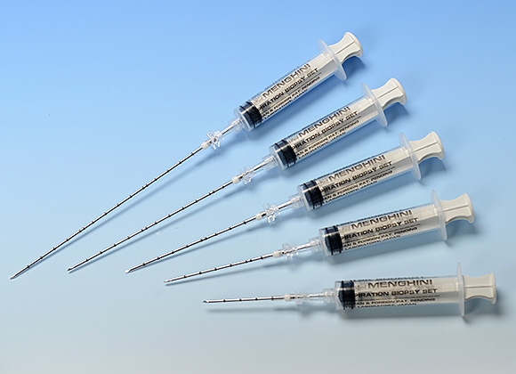 Needle