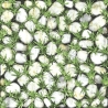Dong Tam tile