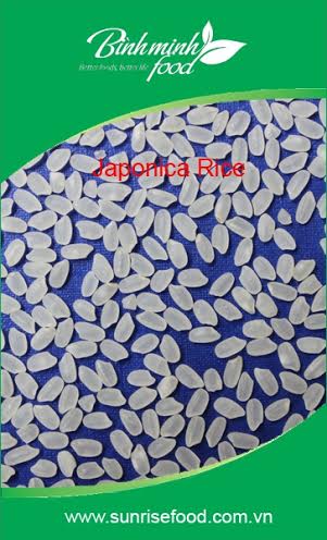 Japonica rice