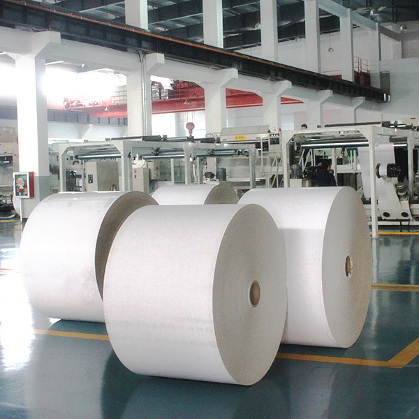 Insoles Paper