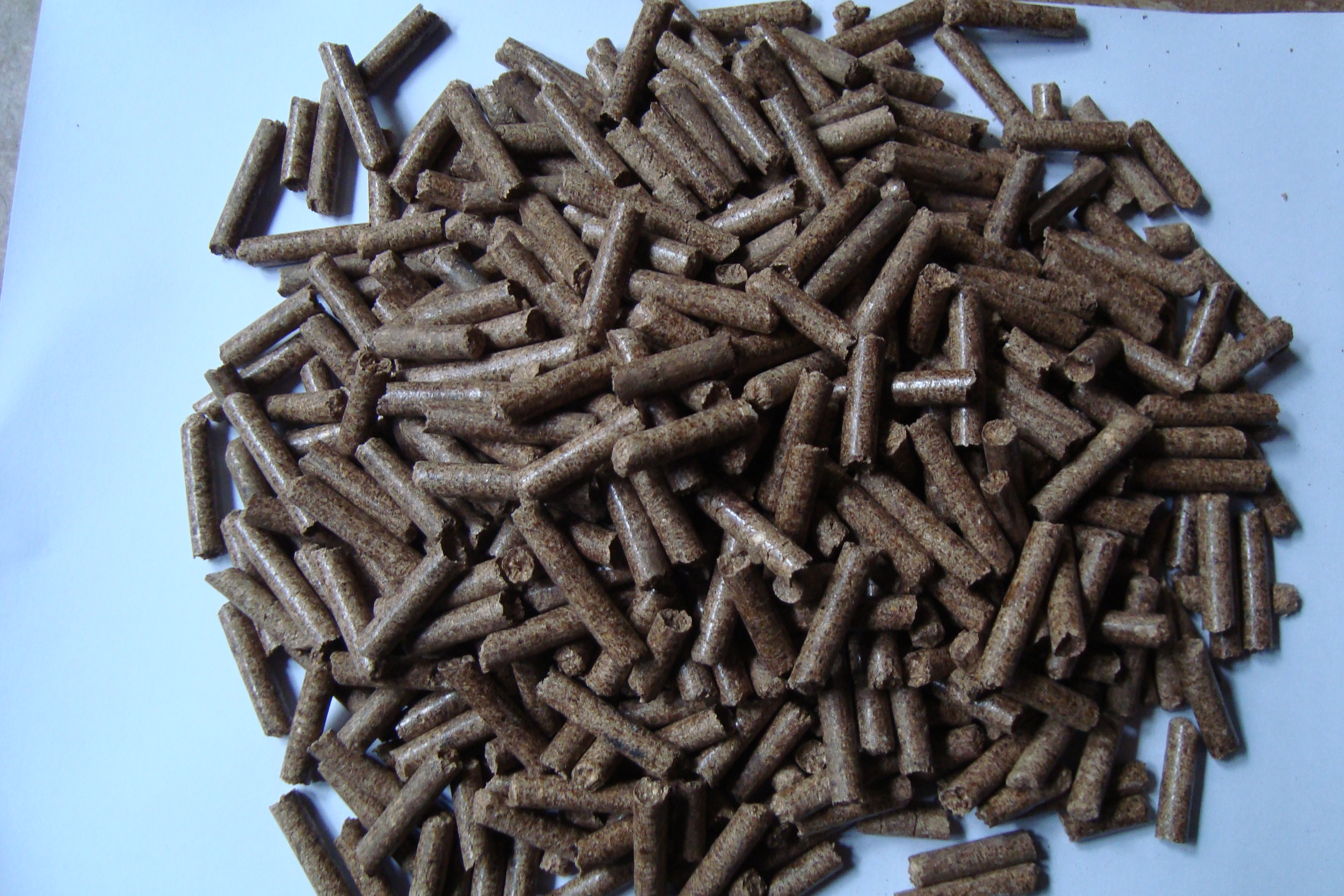 Sawdust