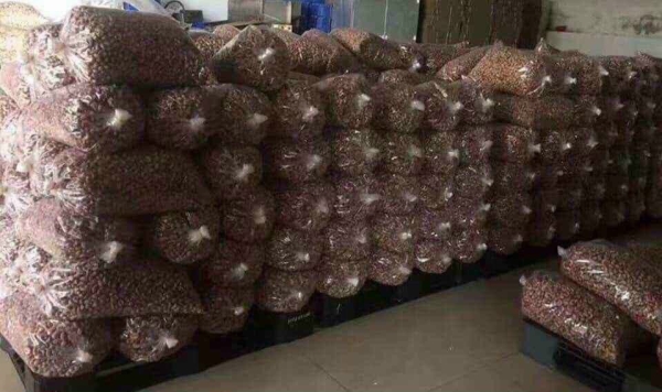 Cashew nuts