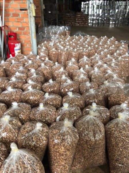 Cashew nuts