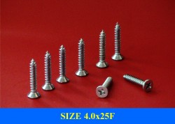 Wood screws