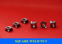 Nuts
