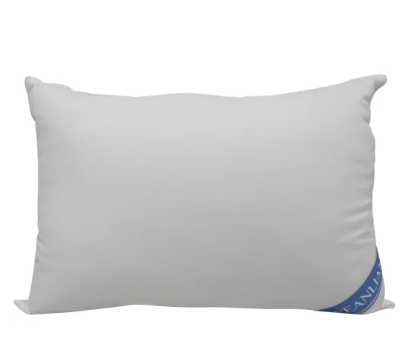 Silk pillow
