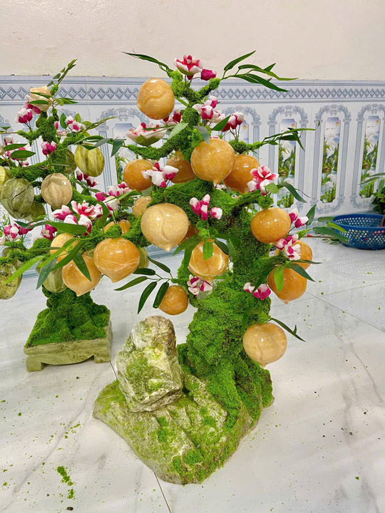 Ngoc Hoang Long Stone Peach Tree and Starfruit Tree