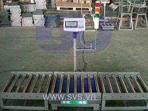 CWS02 Checkweigher scale