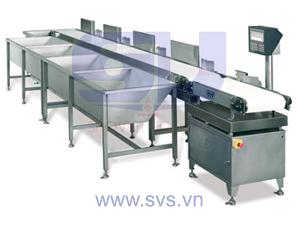WSM01 Checkweigher scale