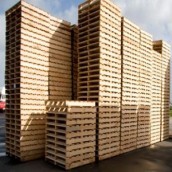 Wooden pallet