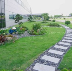Landscaping services