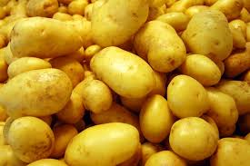Export potato