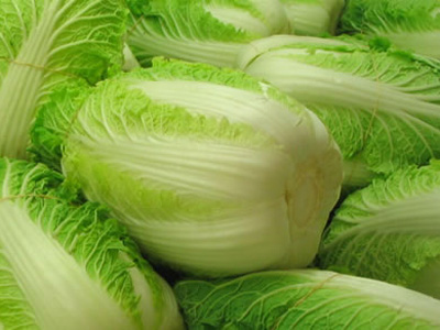 Cabbage