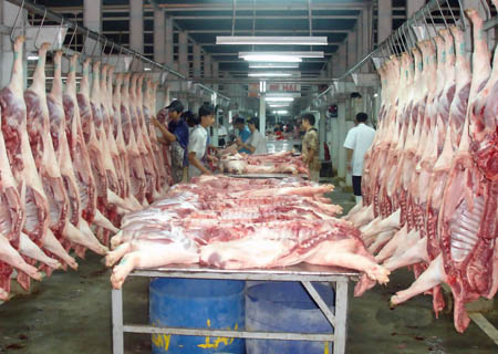 Pork
