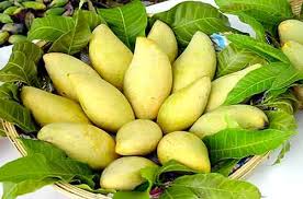 Fresh mango
