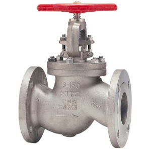 Ductile iron valve