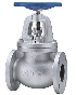 Globe Valve