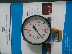 Pressure Gauges