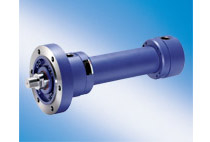 Hydraulic cylinder