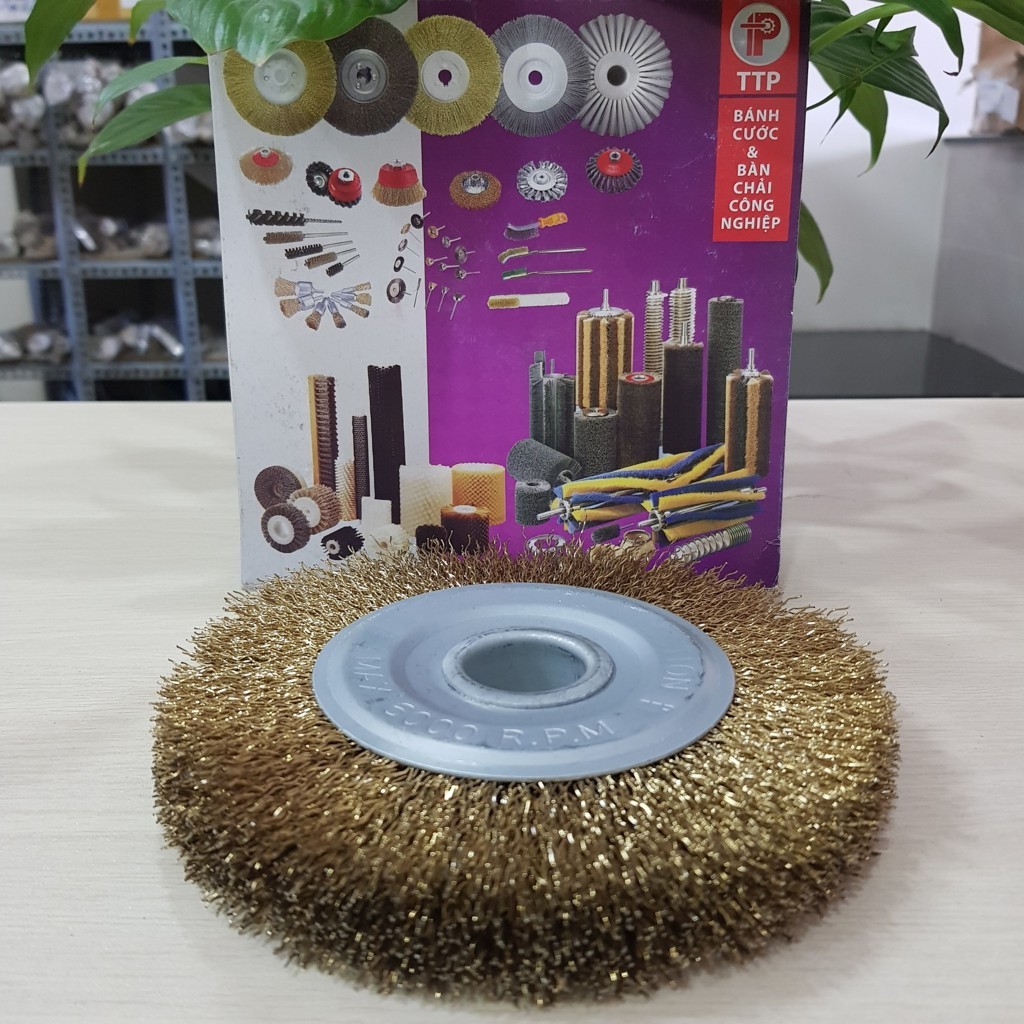Steel wire wheel brush