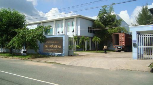 Head office