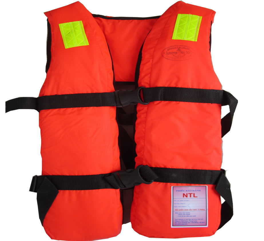 Life vest