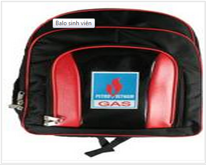 Student backpack