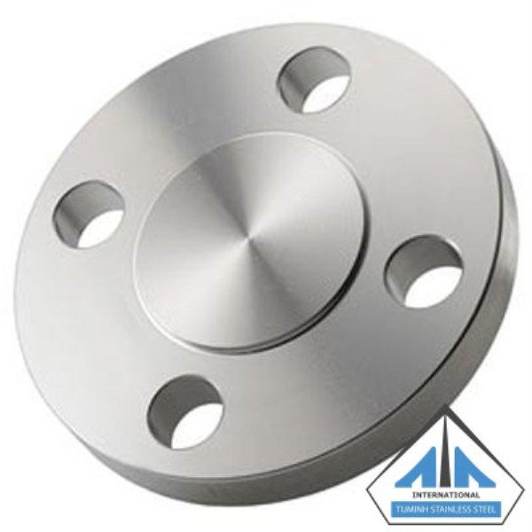 Stainless steel flange