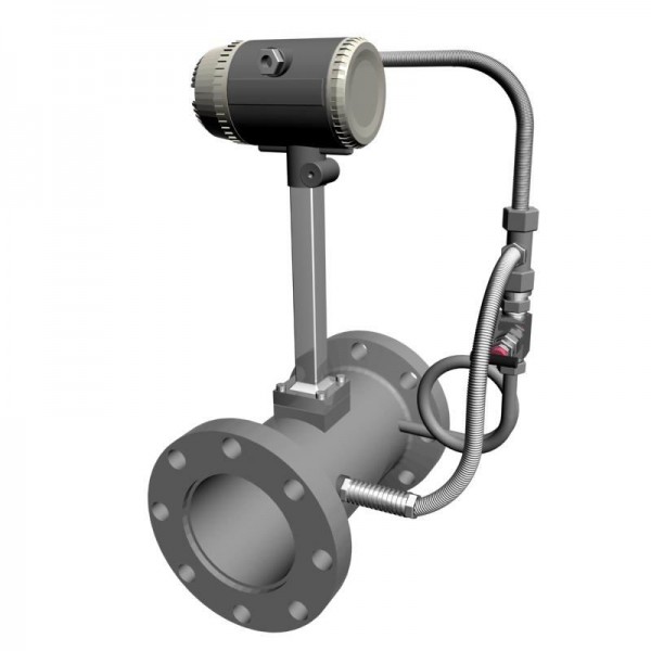 Flowmeter for steam
