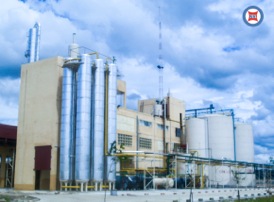Nguyen Khoi Company