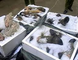 Foam box for seafood